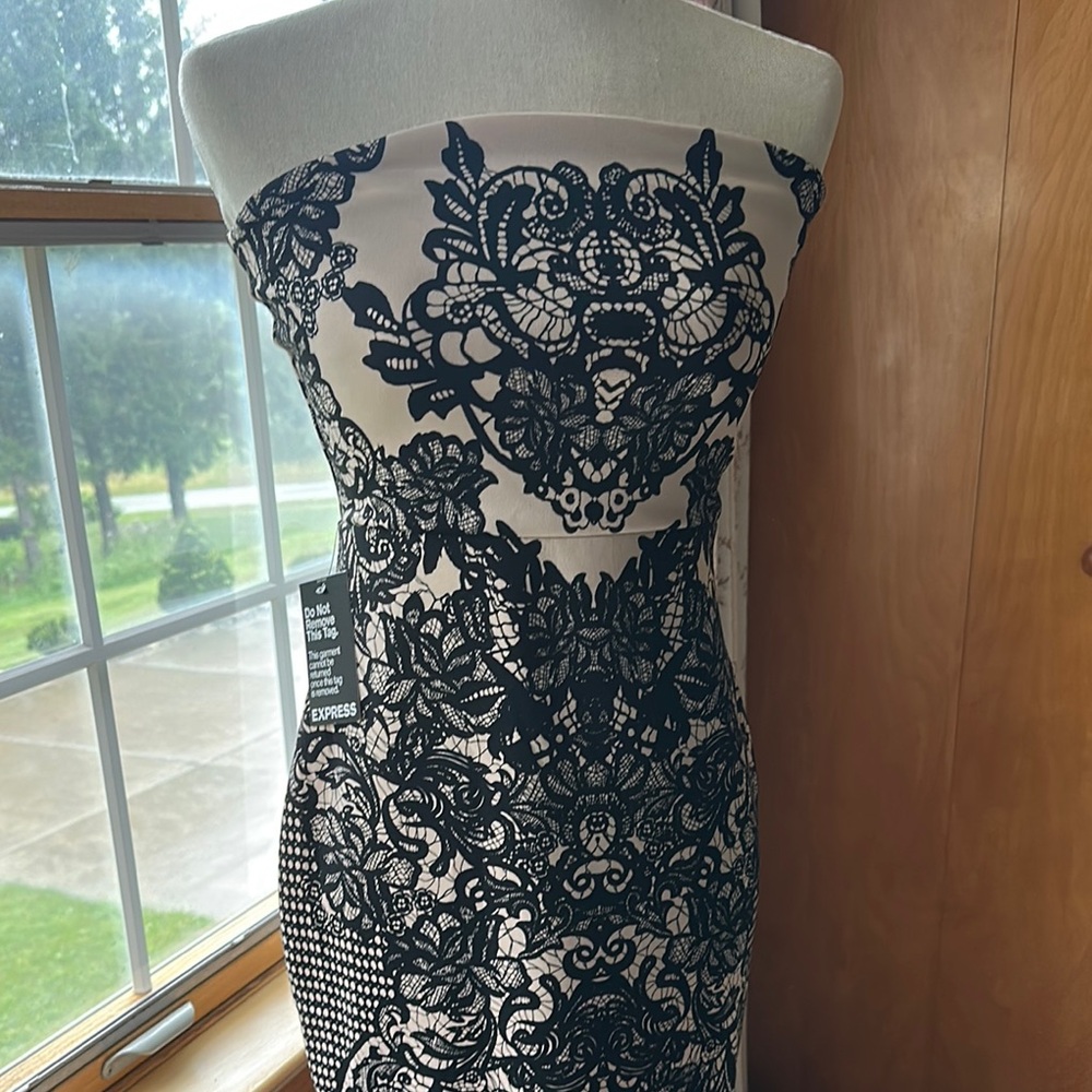 Express (NWT)- Black and White Strapless Sheath Dress - Picture 5 of 16